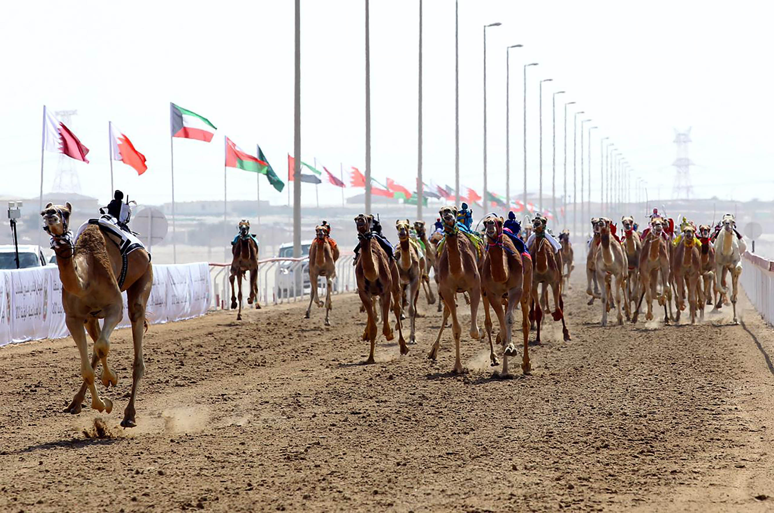 Sultan Bin Hamdan Attends Final Annual Camel Races Festival Wathba 2021 Uae Barq